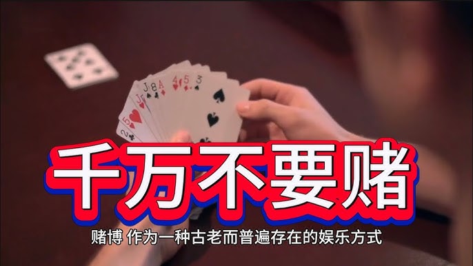 龙虎斗高赔付局分析与抓点下注法：制胜策略全揭秘-体育比分-体彩策略-体育博彩网